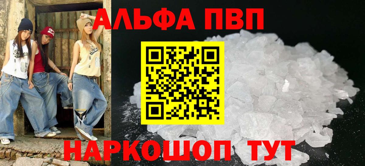 Alfa_PVP СК Майкоп