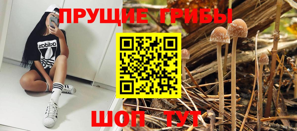 Майкоп  Псилоцибиновые грибы ЛСД  Вход с VPN 